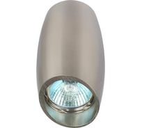 Настенно-потолочный светильник ЭРА спот OL20 SN MR16/GU10, сатин/никель, Б0054391
