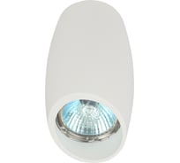 Настенно-потолочный светильник ЭРА спот OL20 WH MR16/GU10, белый, Б0054390