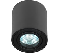 Настенно-потолочный светильник ЭРА спот OL21 BK MR16/GU10, черный, поворотный, Б0054393