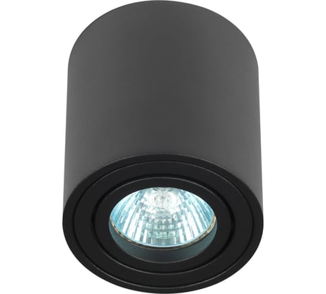 Настенно-потолочный светильник ЭРА спот OL21 BK MR16/GU10, черный, поворотный, Б0054393