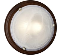 Настенно-потолочный светильник SONEX E27 2*100W LUFE WOOD 236