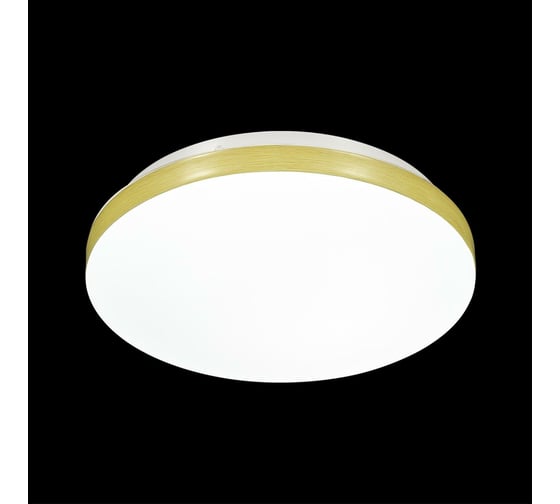 Настенно-потолочный светильник SONEX LED 30W SMALLI 3066_CL