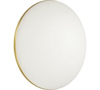 Настенно-потолочный светильник SONEX LED 18W LASSA 3043/AL