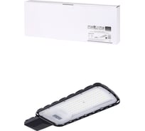 Светильник TDM ELECTRIC СКУ-04-100-Ш DOB 100 Вт, 10 000 лм, 5000 К, 200-260 В, IP65, Народный SQ0345-0607