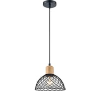 Подвесной светильник Vele Luce Folk VL6502P01