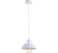 Подвесной потолочный светильник Rivoli Amelia 5136-201 1хЕ27 40 Вт лофт - кантри, Б0054870
