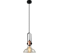 Подвесной светильник Rivoli Leila 4093-201 1хЕ27 40 Вт дизайн потолочный, Б0055026