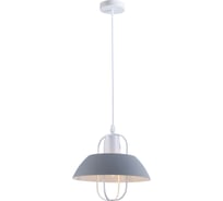 Подвесной потолочный светильник Rivoli Mia 5135-201 1хЕ27 40 Вт лофт - кантри, Б0054869