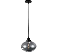 Подвесной потолочный светильник Rivoli Sabina 5134-201 1хЕ27 40 Вт лофт - кантри, Б0054872