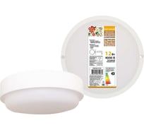 Светодиодный светильник TDM ELECTRIC LED ДПП 3901 12Вт, 4000К, IP65, белый, круг, 155х62 мм, Народный SQ0366-0159