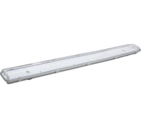 Светильник TDM ELECTRIC ЛСП3902 2х36Вт IP65 с ЭПРА SQ0304-0032