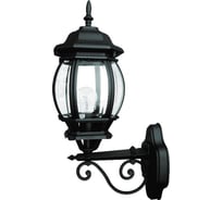 Улично-садовый светильник Camelion 4601, 7130, черный