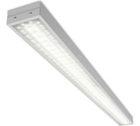 Светильник для школьных досок Wolta PRO ГИМНАЗИСТ Микропризма ДПО02-54-102-6К