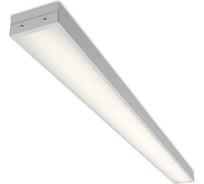 Светильник для школьных досок Wolta PRO ГИМНАЗИСТ Матовый ДПО02-54-101-5К