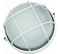 Влагозащищенный светильник Camelion 1101S Эконом 8589, с решеткой