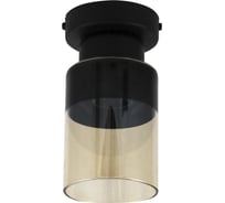 Светильник ЭЛЕТЕХ Крош 111 черный муар (Плафон 8396) НПБ 01-60-104 Е27 ИУ 1005404606