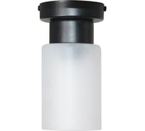 Светильник ЭЛЕТЕХ Крош 111 черный муар (Плафон 8461) НПБ 01-60-104 Е27 ИУ 1005404607