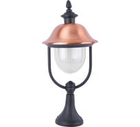Уличный светильник ARTE LAMP, A1484FN-1BK
