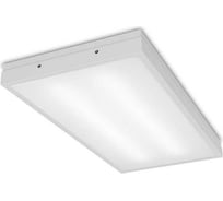 Светильник Wolta PRO ЧИСТЫЙ ОФИС Матовый ДВО03-18-201-6К