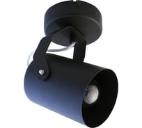Светильник ЭЛЕТЕХ Трек НПБ 01-60-514 черн.матовый/черный ИУ 1005404528 23295813
