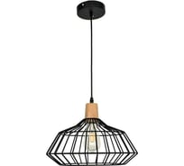 Светильник Navigator NLF-P-001-05 93303