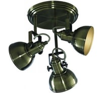 Потолочный светильник  ARTE LAMP A5213PL-3AB