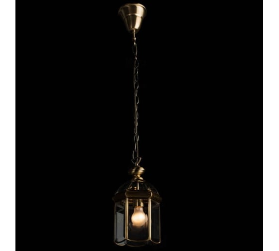 Подвесной светильник ARTE LAMP A6501SP-1AB