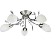 Люстра ARTE LAMP A2766PL-5CC