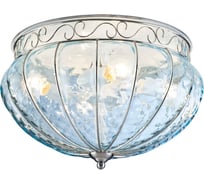 Потолочный светильник ARTE LAMP A2101PL-4SS