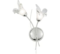 Настенный светильник ARTE LAMP A5494AP-2CC