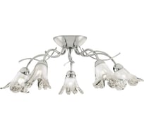 Люстра ARTE LAMP A5494PL-5CC