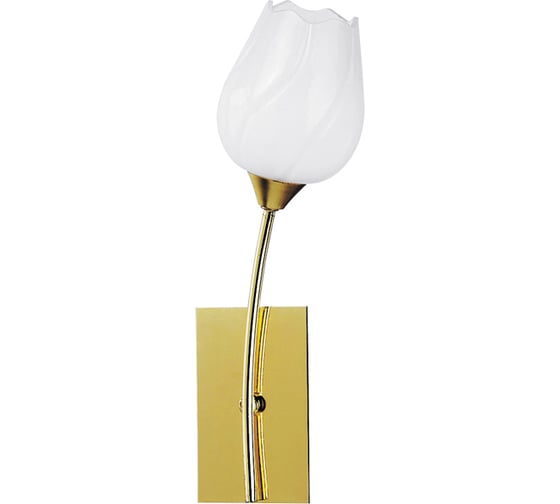 Настенный светильник ARTE LAMP A8292AP-1PB 1