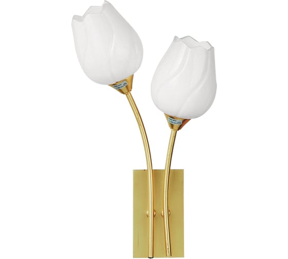 Настенный светильник ARTE LAMP A8292AP-2PB 1
