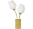 Настенный светильник ARTE LAMP A8292AP-2PB 1
