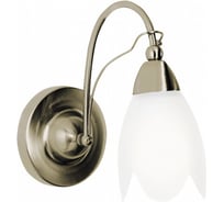 Настенный светильник ARTE LAMP A4905AP-1AB