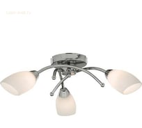 Люстра ARTE LAMP A8186PL-3CC