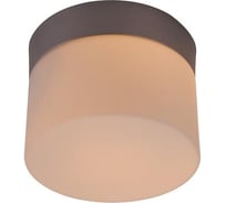 Уличный светильник Globo 32114