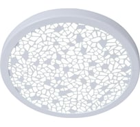 Светодиодный светильник De Fran 4000K 220В 6Вт 500Лм белый+ акрил (WH), DC035 WH SMD