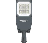 Уличный консольный светильник Wolta PRO МАГИСТРАЛЬ 150 Вт ДКУ05-150-302-5К ШБ130х75