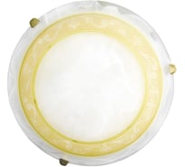 Потолочный светильник ARTE LAMP ROYAL A3140PL-2GO