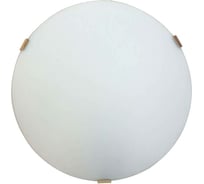 Светильник ЭЛЕТЕХ Мелани 300 НПБ 01-2x60-139 М16 матовый белый /кл.зол. ИУ 1005204142