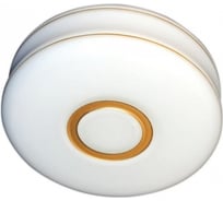 Светильник ЭЛЕТЕХ Ролла 250 НПО 22-2x60-211 опал матовый золото ИУ 1005154020