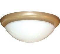 Светильник ЭЛЕТЕХ Полусфера Б 250 НПО 22-100-220 опал матовый /кольцо золотое ИУ MAXEL 1005152039