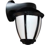 Светильник ЭЛЕТЕХ Фонарь 1 НБУ 06-60-02 черный опал /корпус черный ИУ 1030480108