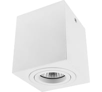 Накладной точечный светильник De Fran GU10 WH- белый 220В 60Вт, поворотный, AL-2508 WH