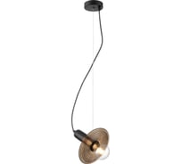 Подвесной светильник Vele Luce Gustoso 1xE27 60W VL5892P11