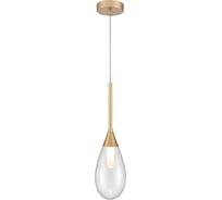 Подвесной светильник Vele Luce Grazioso 1xG9 28W VL5864P01