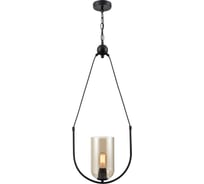Подвесной светильник Vele Luce Fiamma 1xE27 60W VL5812P01