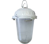 Светильник TDM ELECTRIC НСП 02-200-021.01 У2, без решетки, стекло, крюк, в сборе, инд.упак SQ0310-0011
