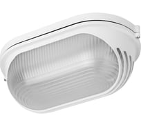 Светильник TDM ELECTRIC НПБ1207 белый, овал, ресничка, 100 Вт IP54 SQ0303-0057